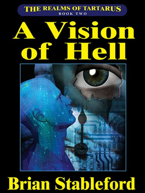 Cover of the book A Vision of Hell by Brian Stableford, Wildside Press LLC