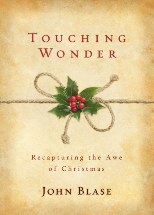 Cover of the book Touching Wonder by John Blase, David C Cook