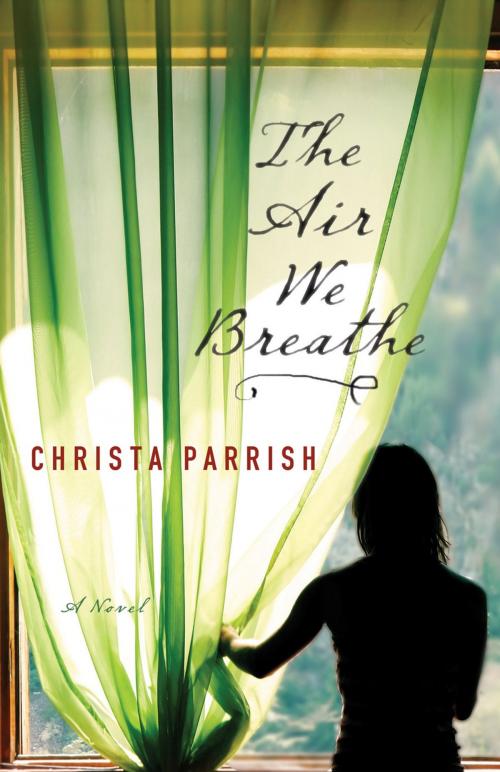 Cover of the book The Air We Breathe by Christa Parrish, Baker Publishing Group