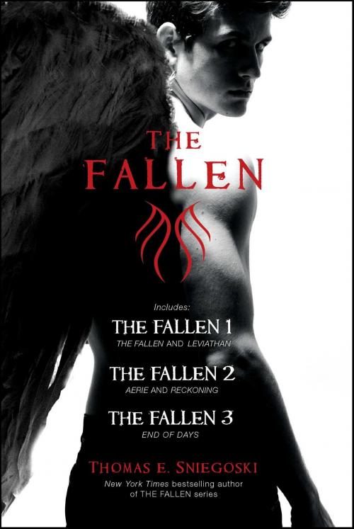 Cover of the book The Fallen by Thomas E. Sniegoski, Simon Pulse