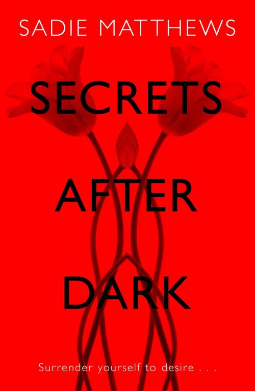 Cover of the book Secrets After Dark (After Dark Book 2) by Sadie Matthews, Hodder & Stoughton