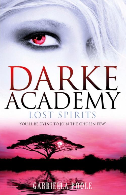 Cover of the book Darke Academy: Lost Spirits by Gabriella Poole, Hachette Children's