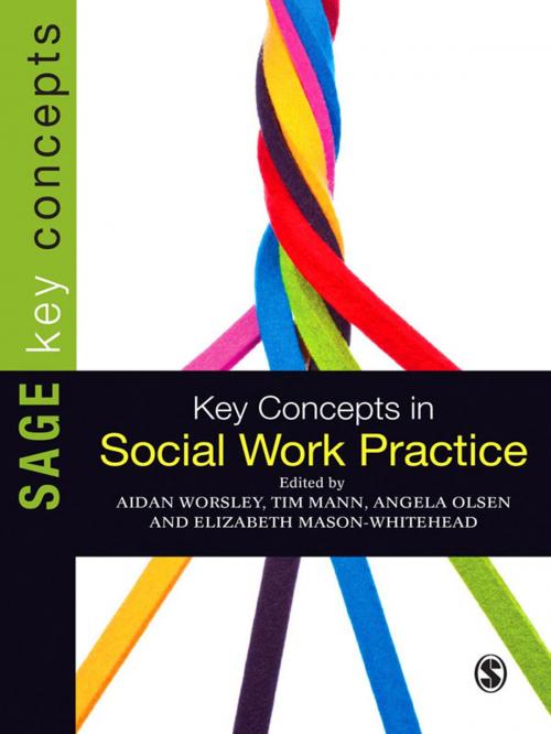 Cover of the book Key Concepts in Social Work Practice by , SAGE Publications
