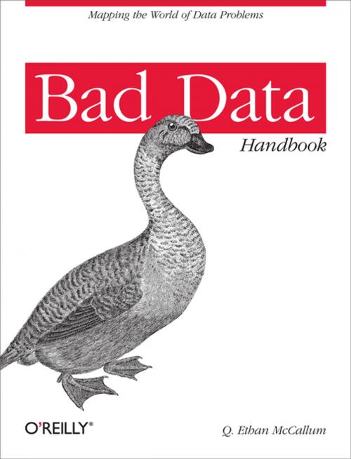 Cover of the book Bad Data Handbook by Q. Ethan McCallum, O'Reilly Media
