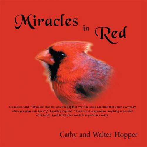 Cover of the book Miracles in Red by Cathy Hopper, WestBow Press
