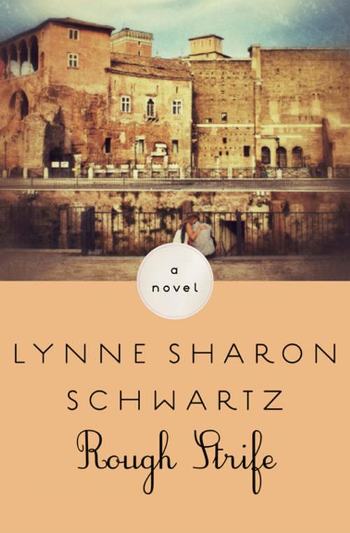 Cover of the book Rough Strife by Lynne Sharon Schwartz, Open Road Media