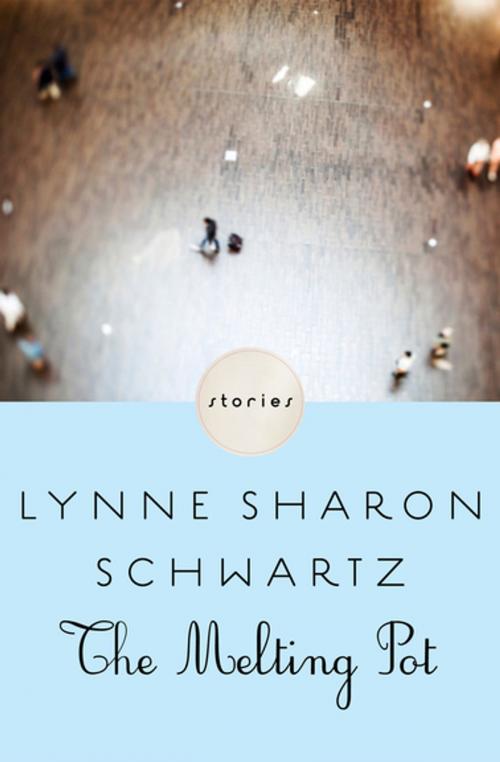 Cover of the book The Melting Pot by Lynne Sharon Schwartz, Open Road Media
