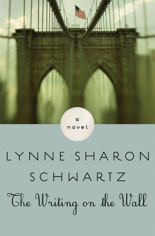 Cover of the book The Writing on the Wall by Lynne Sharon Schwartz, Open Road Media