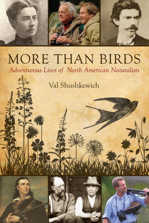Cover of the book More Than Birds by Val Shushkewich, Dundurn