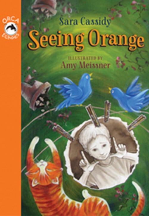 Cover of the book Seeing Orange by Sara Cassidy, Orca Book Publishers
