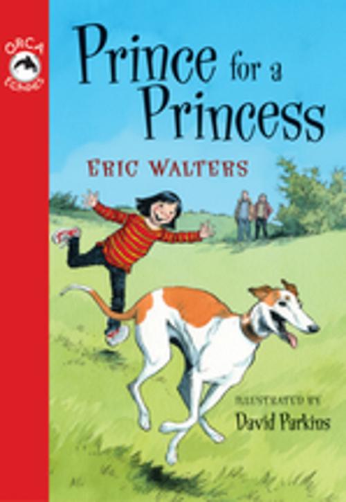 Cover of the book Prince for a Princess by Eric Walters, Orca Book Publishers