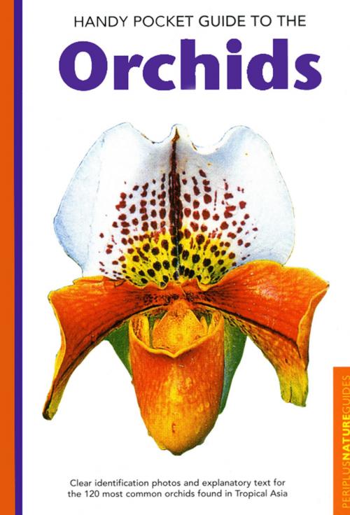 Cover of the book Handy Pocket Guide to Orchids by David P. Banks, Tuttle Publishing
