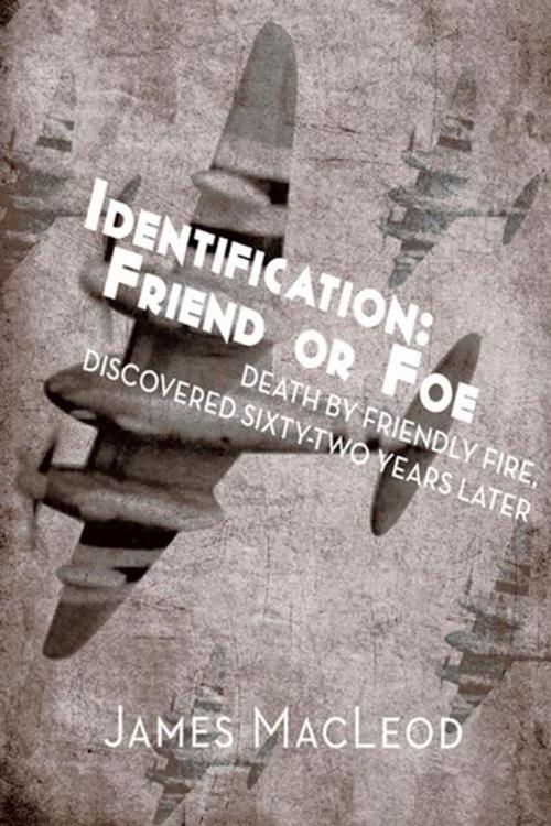 Cover of the book Identification: Friend or Foe by James MacLeod, Trafford Publishing