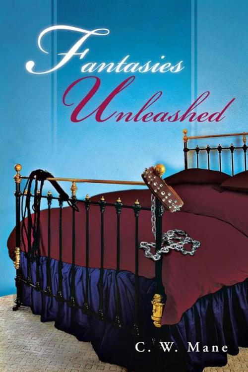 Cover of the book Fantasies Unleashed by C. W. Mane, Trafford Publishing