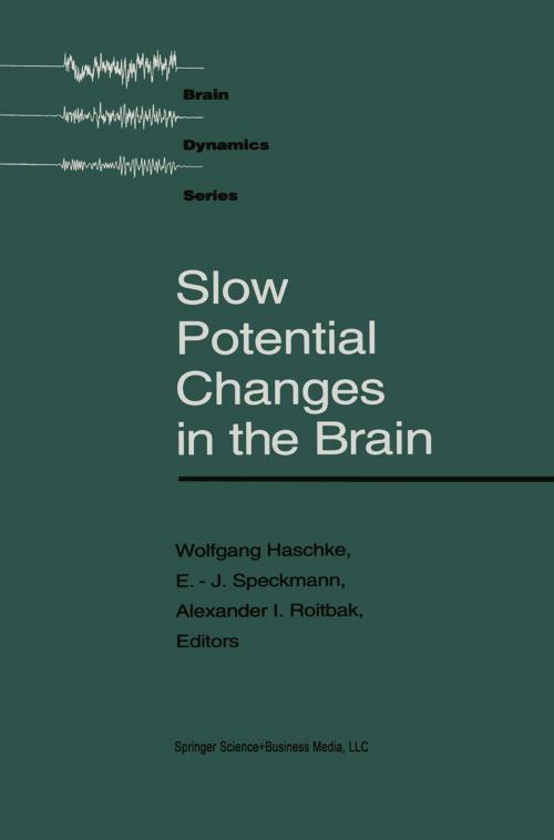 Cover of the book Slow Potential Changes in the Brain by Haschke, Speckmann, Birkhäuser Boston
