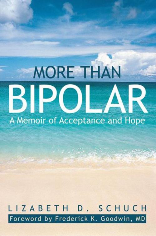 Cover of the book More Than Bipolar by Lizabeth D. Schuch, iUniverse