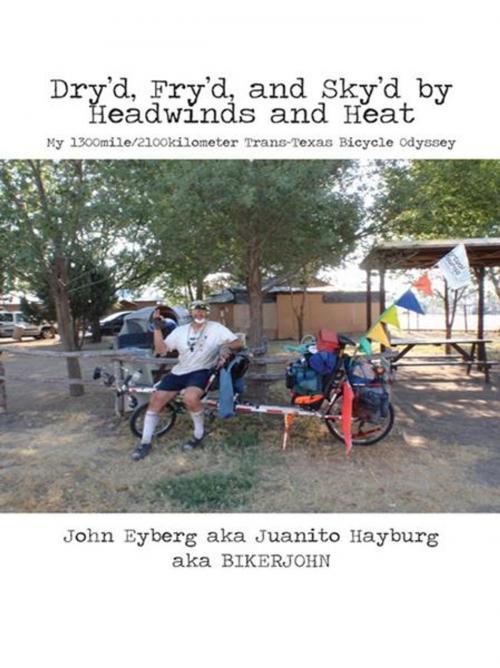 Cover of the book Dry’D, Fry’D, and Sky’D by Headwinds and Heat by John Eyberg, iUniverse