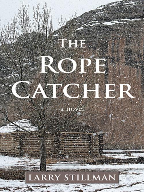 Cover of the book The Rope Catcher by Larry Stillman, iUniverse