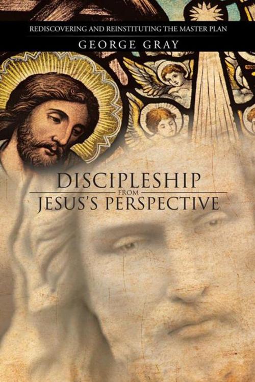 Cover of the book Discipleship from Jesus’S Perspective by George Gray, iUniverse