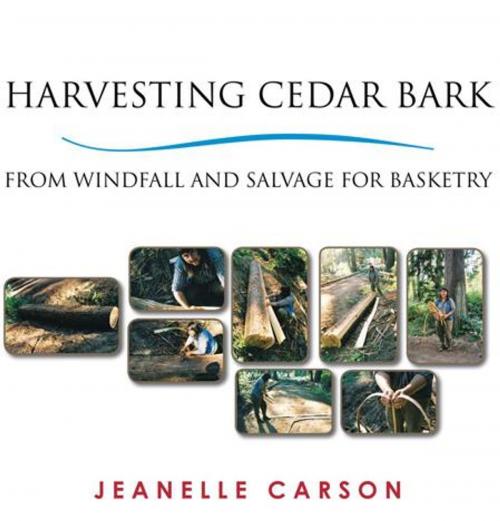 Cover of the book Harvesting Cedar Bark by Jeanelle Carson, AuthorHouse