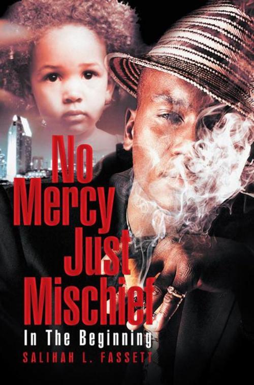 Cover of the book No Mercy Just Mischief by Salihah L. Fassett, AuthorHouse