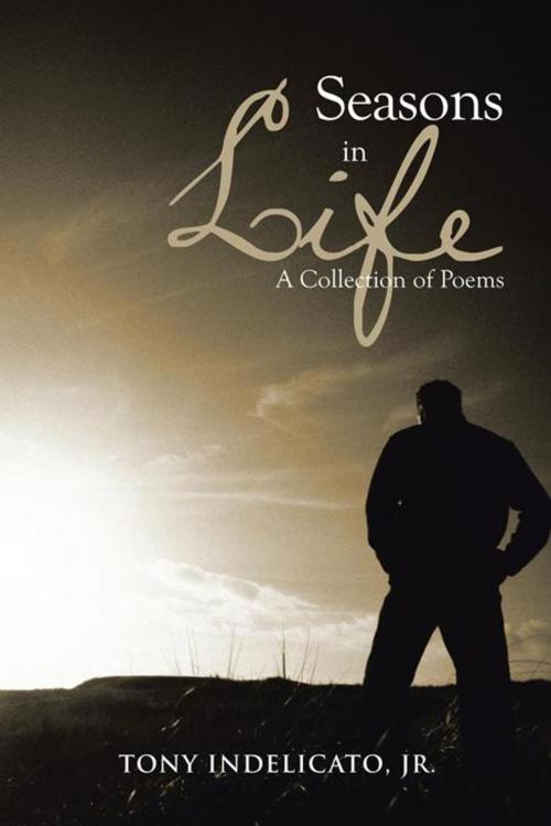 Cover of the book Seasons in Life by Tony Indelicato Jr., AuthorHouse
