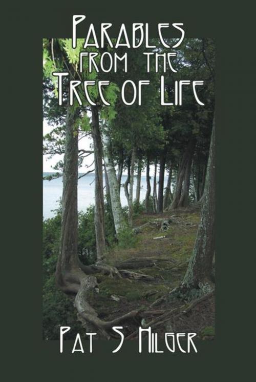 Cover of the book Parables from the Tree of Life by Pat S. Hilger, AuthorHouse