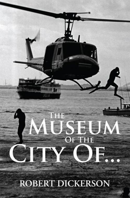 Cover of the book The Museum of the City Of... by Robert Dickerson, Xlibris US