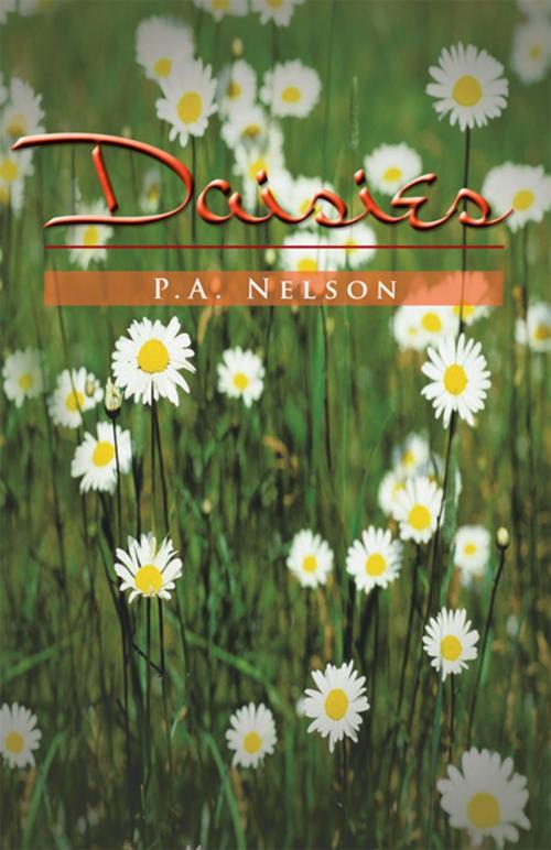 Cover of the book Daisies by P.A. Nelson, Xlibris US