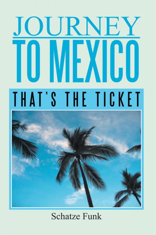 Cover of the book Journey to Mexico by Schatze Funk, Xlibris US