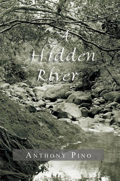 Cover of the book A Hidden River by Anthony Pino, Xlibris US