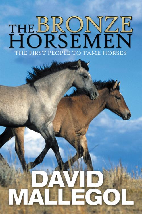 Cover of the book The Bronze Horsemen by David Mallegol, Xlibris US