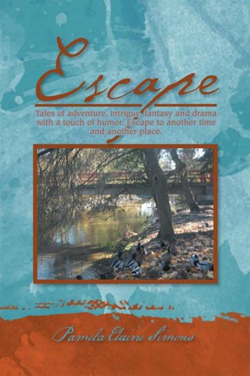 Cover of the book Escape by Pamela Elaine Simons, Xlibris US