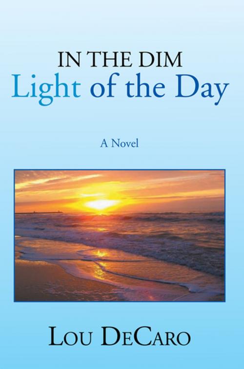 Cover of the book In the Dim Light of the Day by Lou DeCaro, Xlibris US