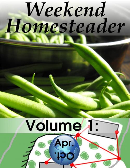 Cover of the book Weekend Homesteader: April by Anna Hess, Wetknee Books