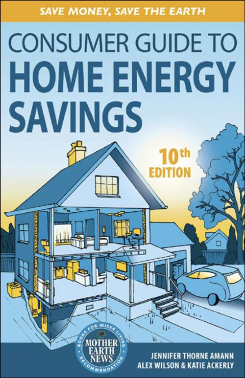 Cover of the book The Consumer Guide to Home Energy Savings by Jennifer Thorne Amann, Alex Wilson, Katie Ackerly, New Society Publishers