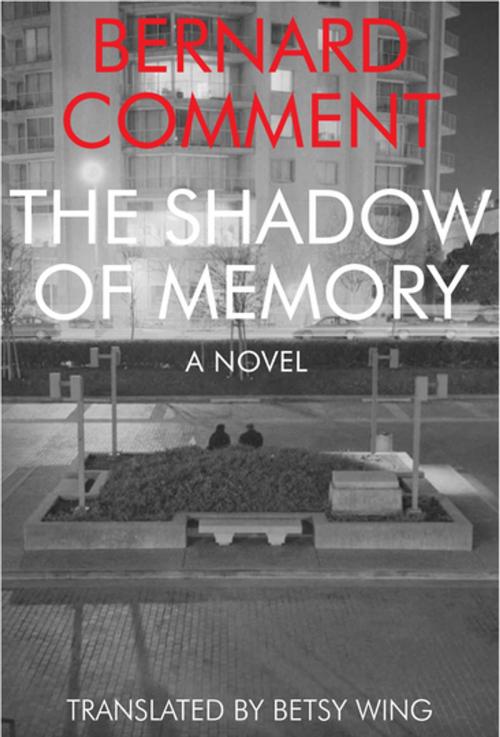 Cover of the book The Shadow of Memory by Bernard Comment, Dalkey Archive Press