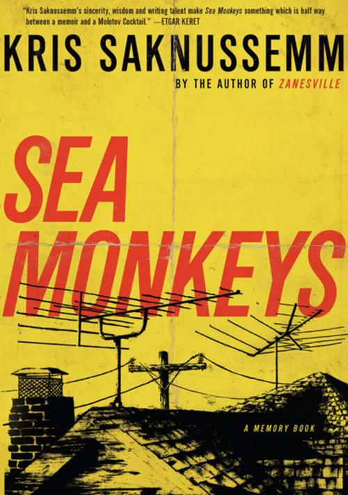Cover of the book Sea Monkeys by Kris Saknussemm, Soft Skull Press