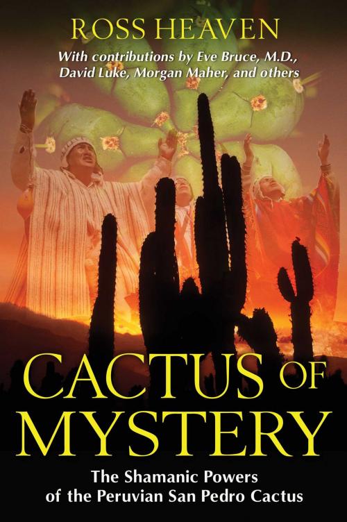 Cover of the book Cactus of Mystery by Ross Heaven, Inner Traditions/Bear & Company