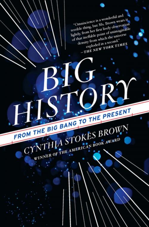 Cover of the book Big History by Cynthia Stokes Brown, The New Press
