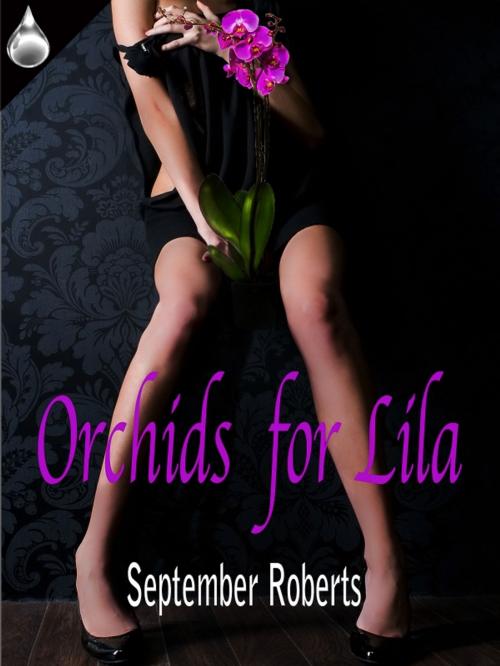 Cover of the book Orchids for Lila by September Roberts, Liquid Silver Books