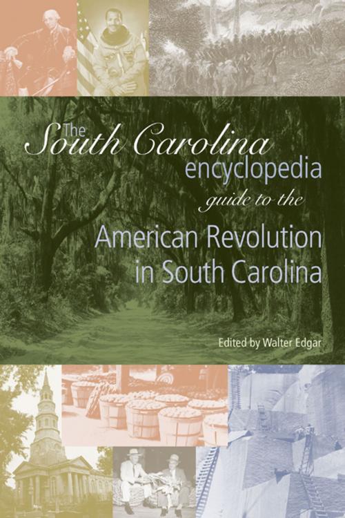 Cover of the book The South Carolina Encyclopedia Guide to the American Revolution in South Carolina by , University of South Carolina Press