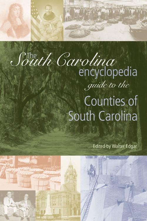 Cover of the book The South Carolina Encyclopedia Guide to the Counties of South Carolina by , University of South Carolina Press