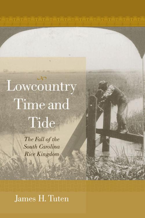 Cover of the book Lowcountry Time and Tide by James H. Tuten, University of South Carolina Press
