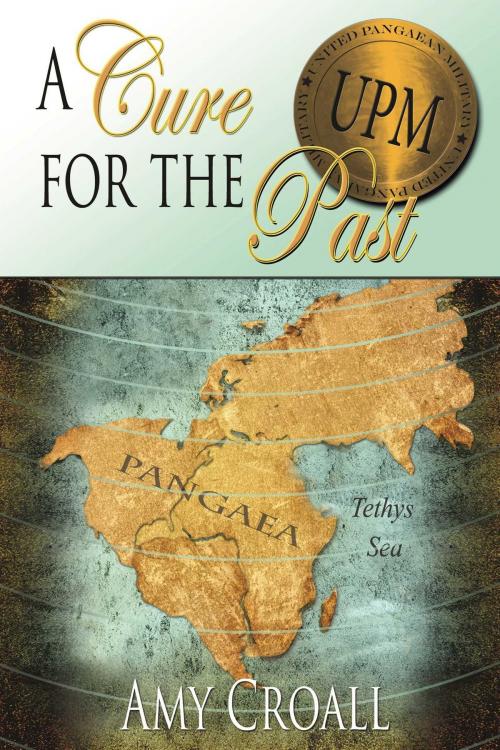 Cover of the book A Cure For The Past by Amy Croall, Whiskey Creek Press