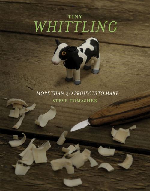 Cover of the book Tiny Whittling by Steve Tomashek, Chicago Review Press
