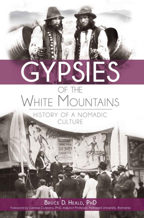 Cover of the book Gypsies of the White Mountains by Bruce D. Heald PhD, Arcadia Publishing Inc.