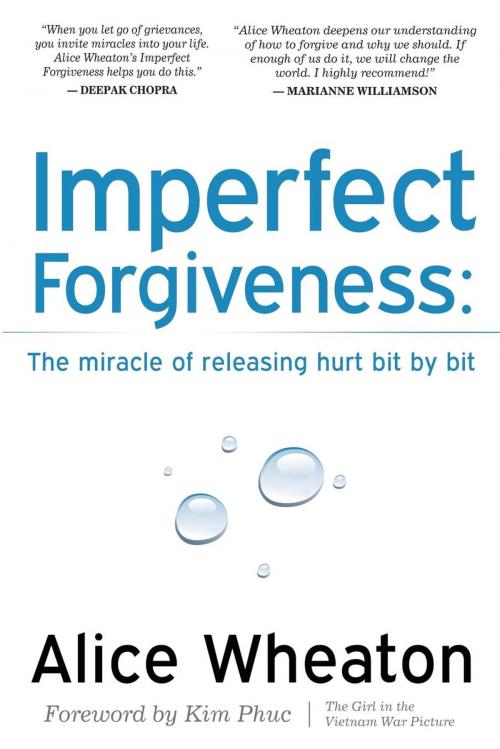 Cover of the book Imperfect Forgiveness by Wheaton, Morgan James Publishing