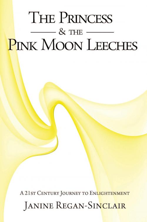 Cover of the book The Princess & the Pink Moon Leeches by Janine Regan-Sinclair, Bookwhirl