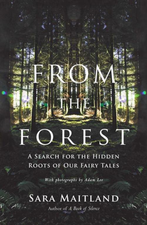 Cover of the book From the Forest by Sara Maitland, Adam Lee, Counterpoint Press